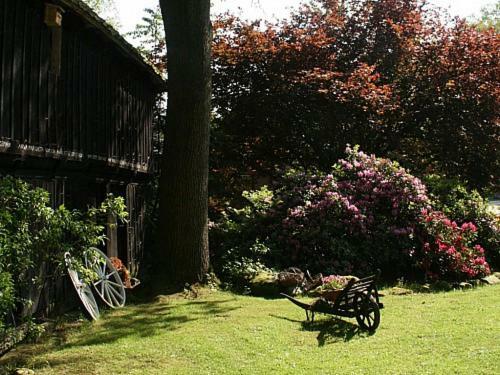 Ferienhof Wroge Wietzendorf Ngoại thất bức ảnh